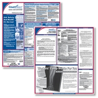 California Federal & State Labor Law Poster Kit